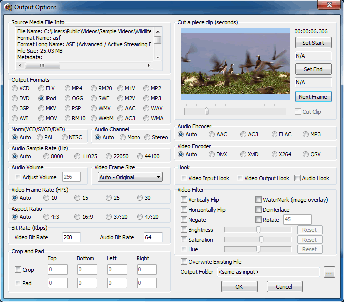 视频转换控件示例程序选项窗口 - Delphi FFmpeg VCL Components